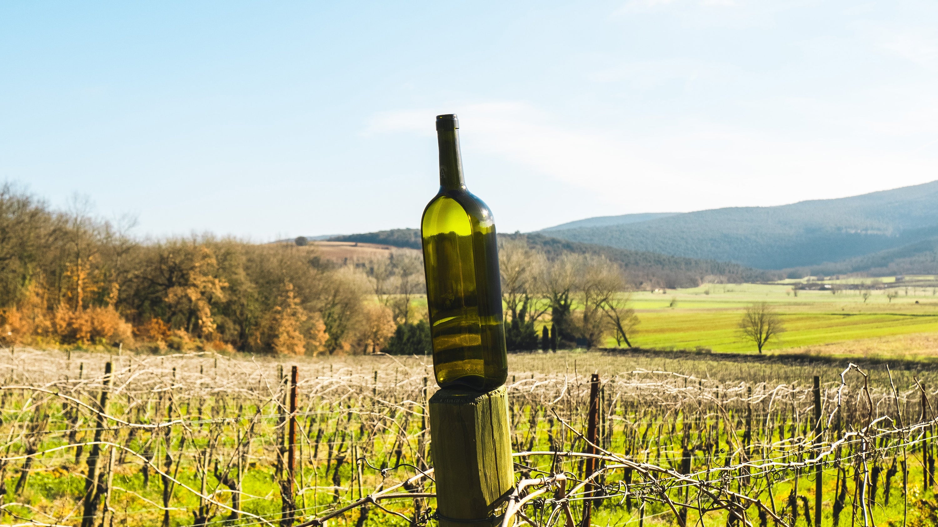 Eccellenze made in Italy: L’artigianato del vetro in Toscana