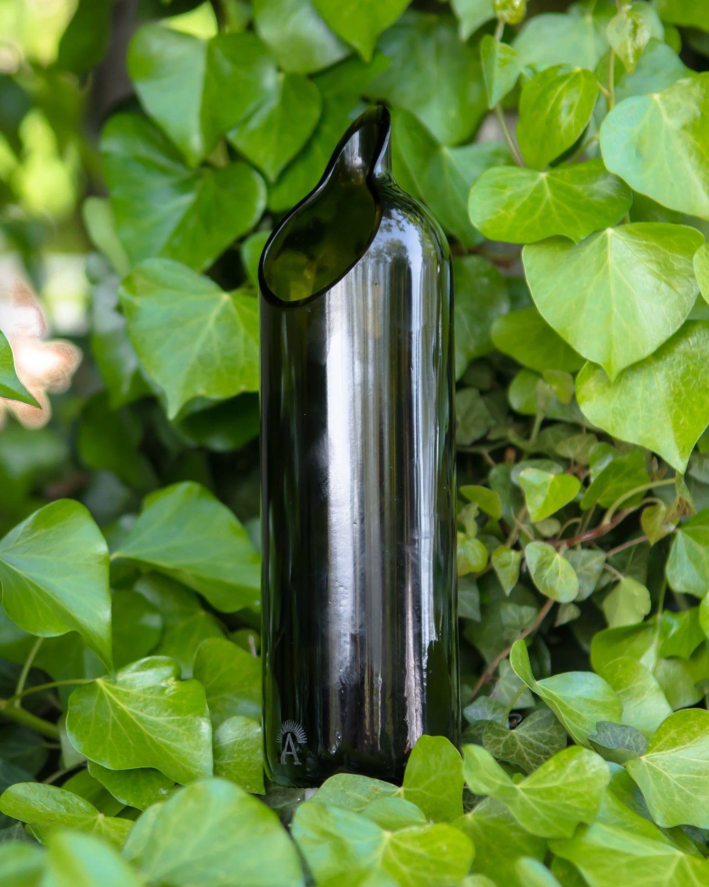 caraffa ecosostenibile